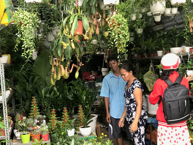 nhieu ki ot quanh san bay tan son nhat xa hang truoc gio giai toa