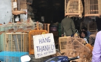 ban giao dat 50 ki ot 3 cay xang giap san bay tan son nhat truoc ngay 258