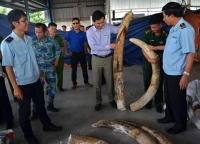 truong phong giao dich vietinbank phu tho rut 800 trieu cua khach bi bat giu
