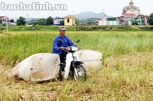 muon kieu san chau chau kiem tien trieu moi dem