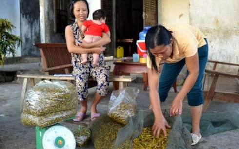muon kieu san chau chau kiem tien trieu moi dem