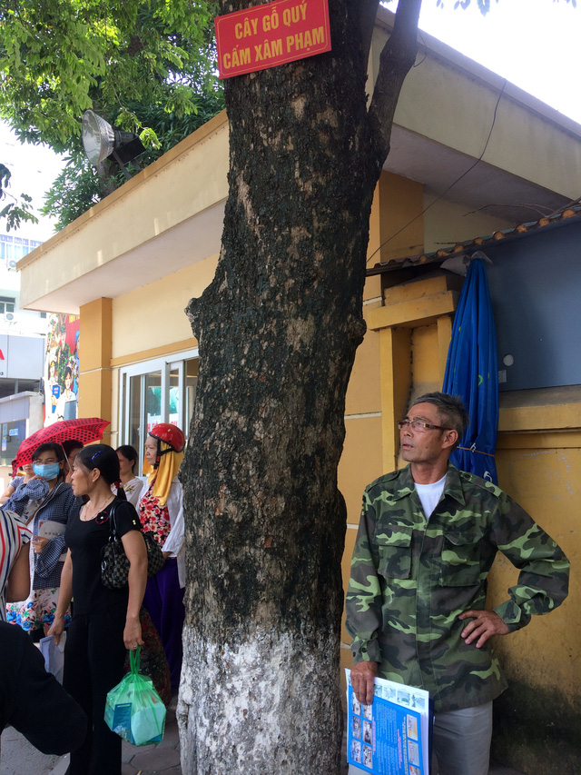 bat ngo truoc gia tri that cua cay sua truoc cong benh vien 108