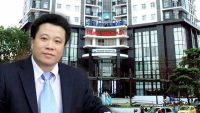ocean group chim trong khung hoang