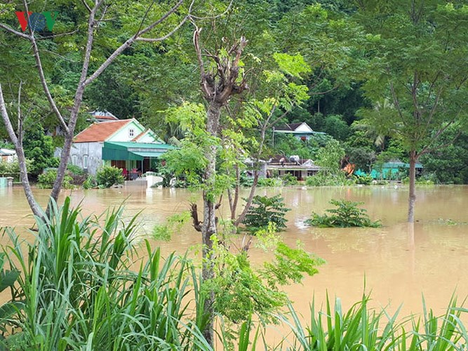 trang dem dam minh trong nuoc lu dua dan ra khoi vung nguy hiem