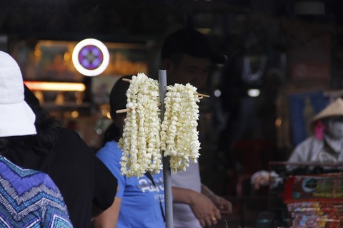 nguoi sai gon len chua mua vu lan bao hieu