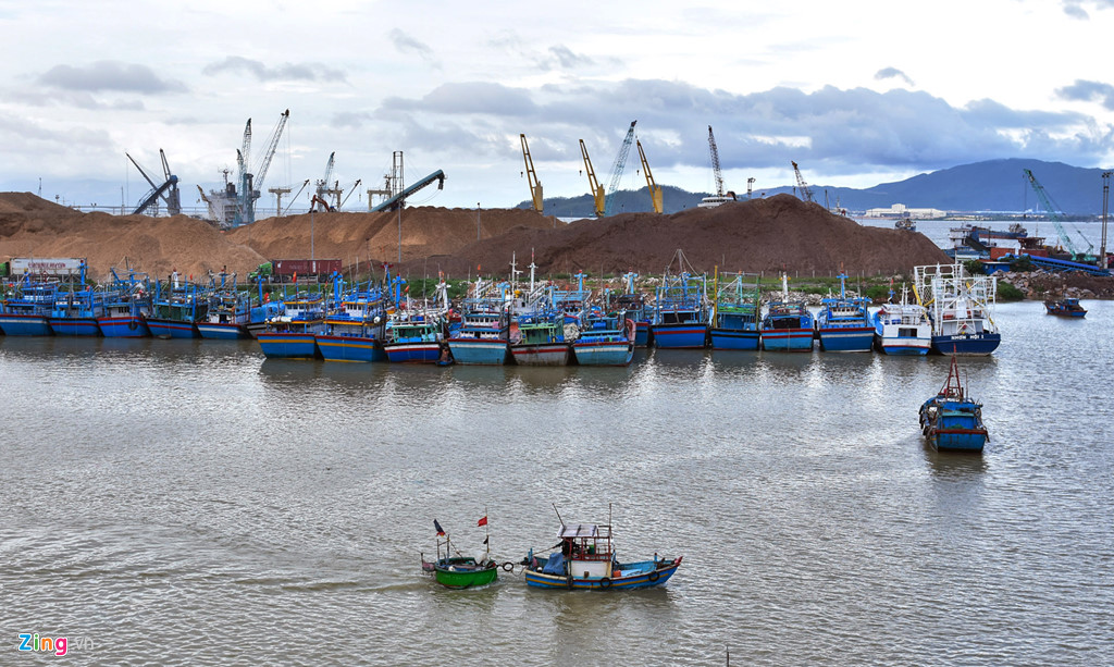 toan canh cang quy nhon noi sai pham hang loat khi co phan hoa