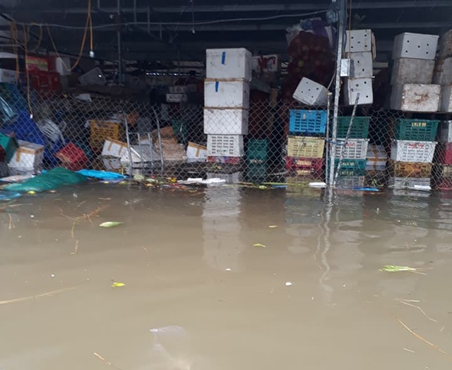 mua ngap thanh pho tieu thuong cho vinh trang tay sau mot dem