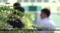 cha me can lam gi de giup tre tranh bi xam hai tinh duc