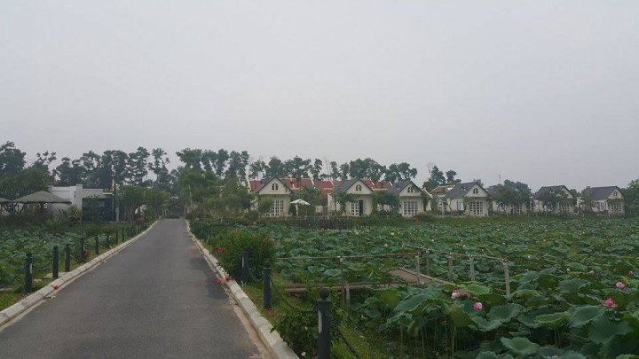 dang thanh tra viec su dung gan 90 ha dat o khu nghi duong vuon vua