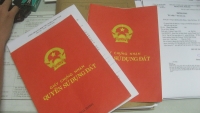 so do ghi ten ca gia dinh bo ban nha phai hoi y con