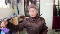 nhung an mang rung dong vi mu quang tin loi thay boi