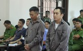 Vụ xe container đâm Innova chạy lùi trên cao tốc: TAND Tối cao rút hồ sơ bản án