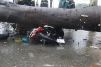 lai xe tap lai gay tai nan ai co trach nhiem boi thuong