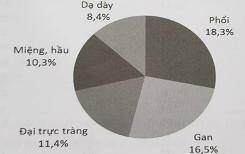 5 loại bệnh ung thư hàng đầu ở TP HCM