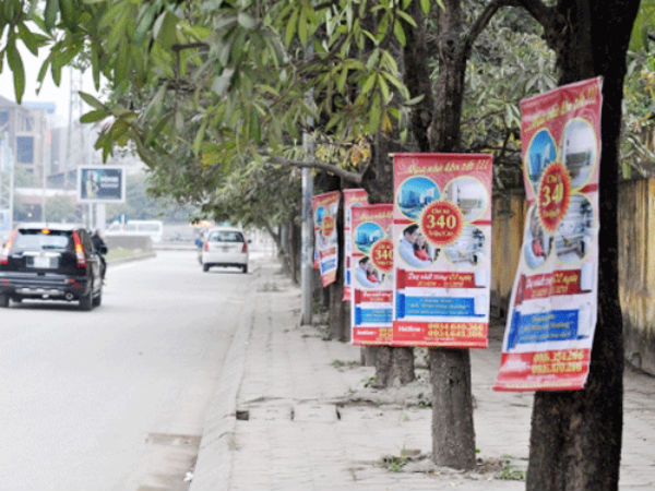 muon danh ong lon than trong voi chieu ban nha cua co
