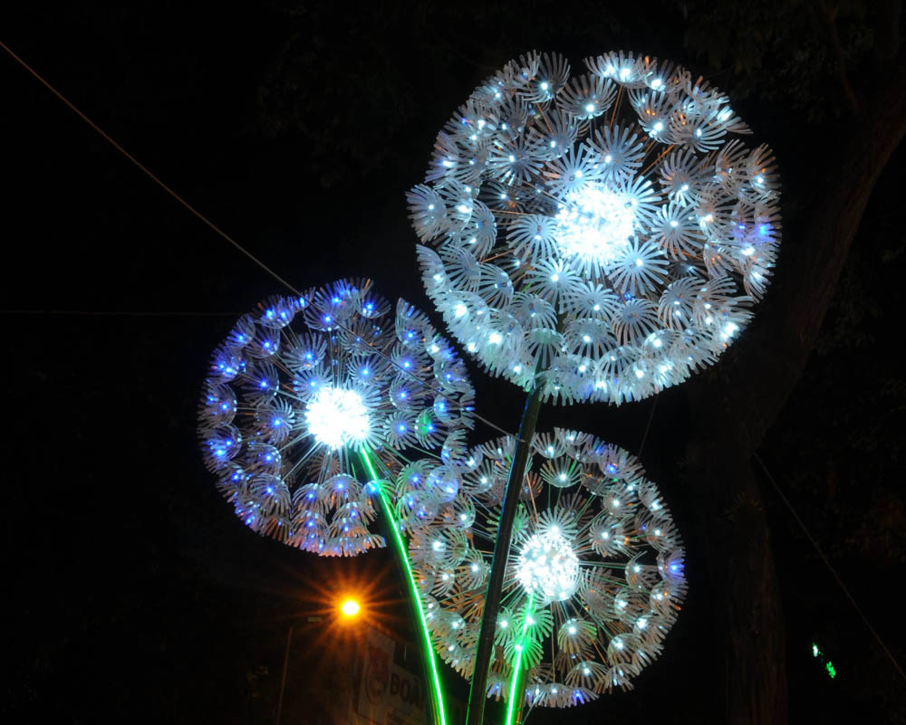 Tết dương lịch,năm 2018,Sài Gòn