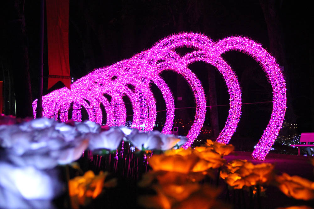 Tết dương lịch,năm 2018,Sài Gòn