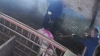 nhin lai nhung vu bao hanh hoc sinh chan dong nam 2018