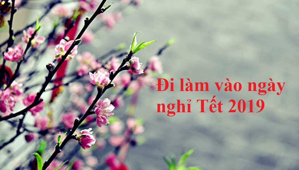 Hỏi đáp pháp luật: Đi làm vào những ngày nghỉ Tết 2019, vụ Range Rover đâm nữ sinh hoi dap phap luat di lam vao nhung ngay nghi tet 2019 vu range rover dam nu sinh