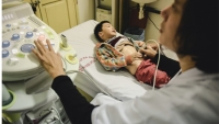 don tet o benh vien chung toi vui vi duoc xem ban phao hoa