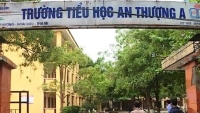co giao dung thuoc ke can co danh vao dau hoc sinh hieu truong noi gi