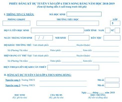 Hà Nội công bố mẫu đơn đăng ký vào lớp 6 THCS hệ song bằng