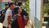 Điểm chuẩn tuyển sinh lớp 10 THPT chuyên Nguyễn Bỉnh Khiêm năm học 2018 - 2019