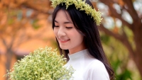 ca lop hoc vung ron lu ha tinh deu dau dai hoc cac truong top dau