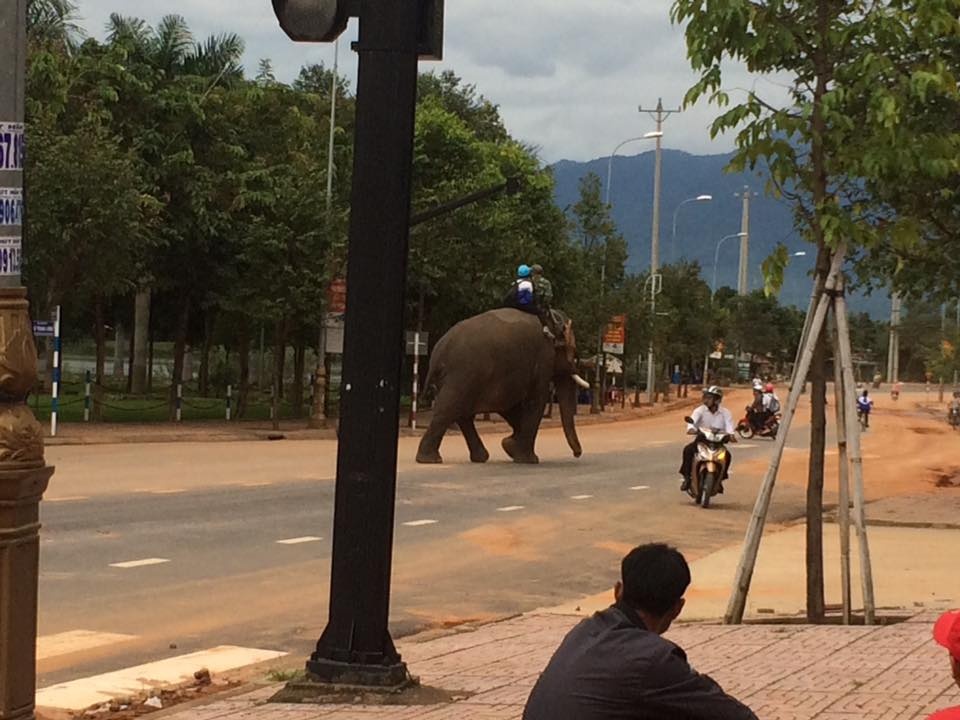 clip hoc sinh cuoi voi di hoc tren duong pho gay sot mang xa hoi