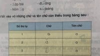 co giao day the duc bat ca lop tieu hoc ngam but vi mat trat tu