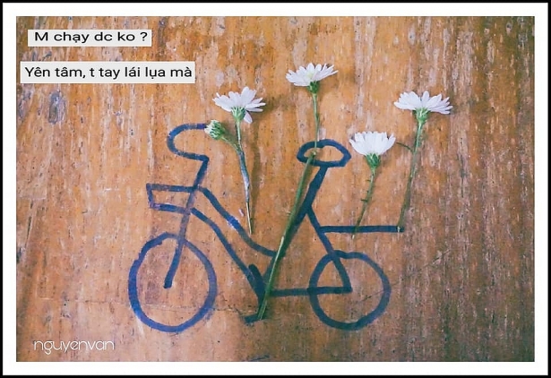 bo anh lop hoc hoa cuc trang gay sot cong dong mang