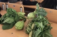 dai gia chi 85 trieu dong mua binh hoa kiem tien suong tay ngay tro ret