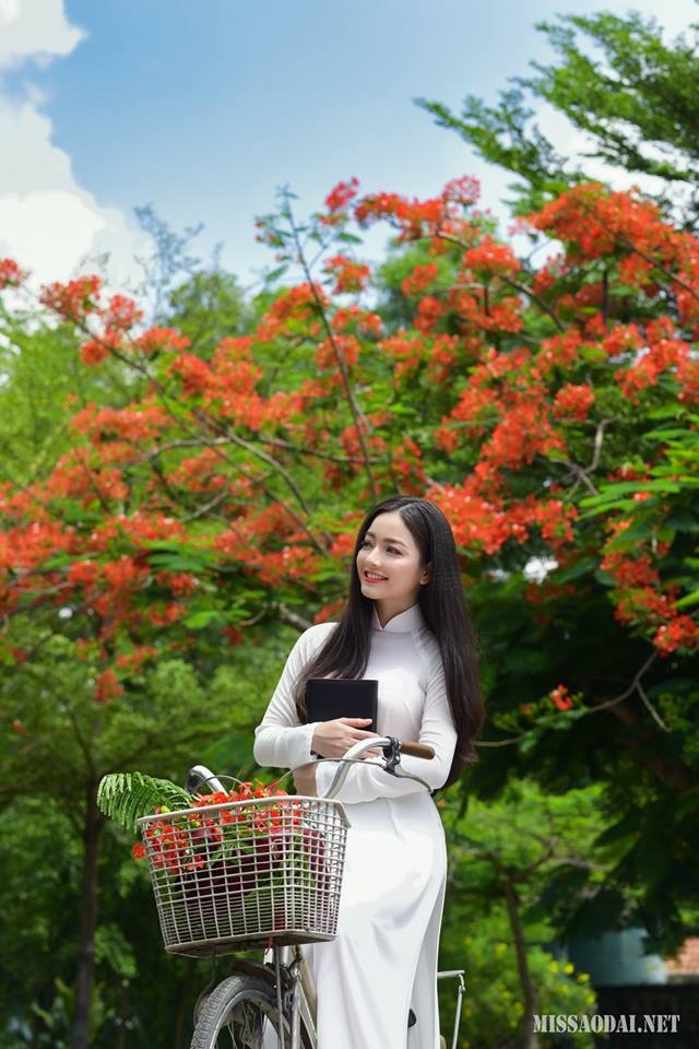 de thi thu thpt quoc gia 2019 mon toan thpt chuyen thai binh