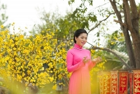 he lo khong gian nha moi cua vo chong le quyen o my