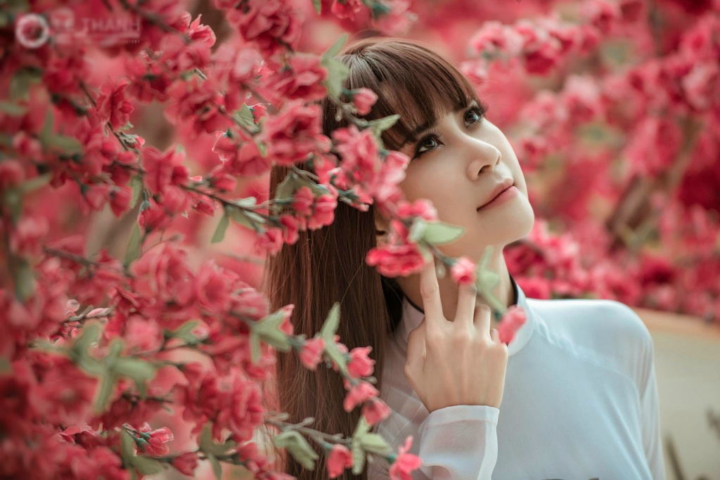 a khoi du lich lien phuong phan tran chuyen mua giai
