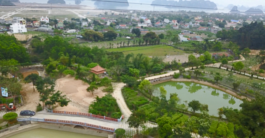 quang ninh thanh tra biet phu moc giua rung tai huyen van don