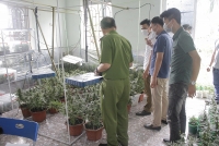 hoi thanh duc chua troi nuoc thanh la bia dat loi dung niem tin