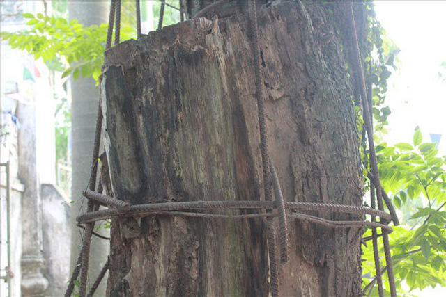 cay sua 100 ty dong dan xot ruot cho ban chia nhau