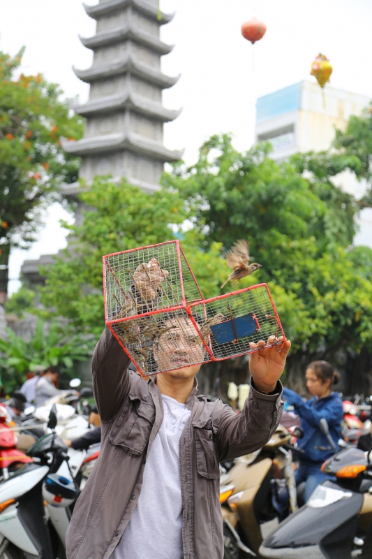 Chim, cá “khốn khổ” vì được phóng sinh! chim ca khon kho vi duoc phong sinh