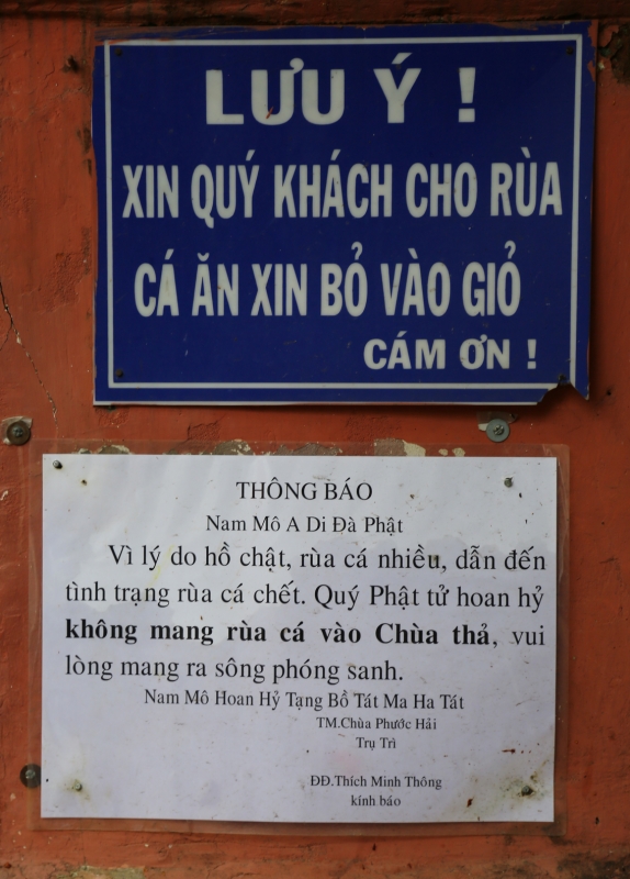 Chim, cá “khốn khổ” vì được phóng sinh! chim ca khon kho vi duoc phong sinh