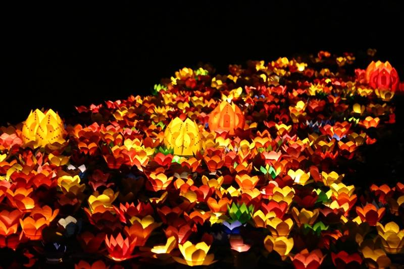le hoi den hoa dang lung linh trong dem ram thang 7