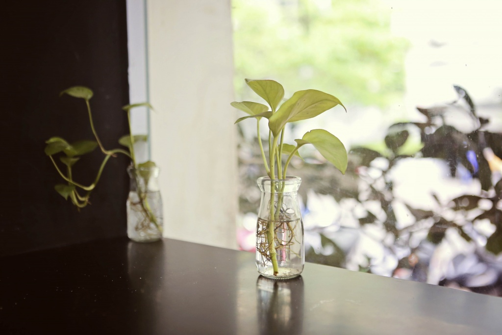 Có một Thư viện cà phê bình yên giữa lòng Hà Nội co mot thu vien ca phe binh yen giua long thu do