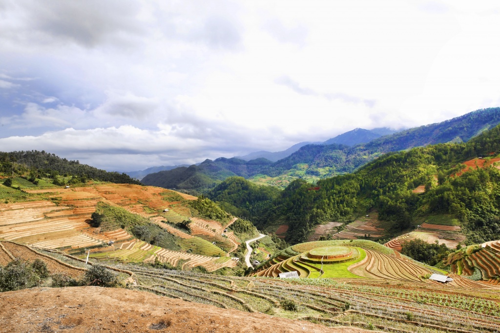 di cay tren ruong bac thang o mu cang chai