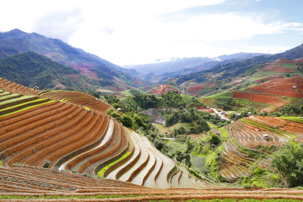di cay tren ruong bac thang o mu cang chai