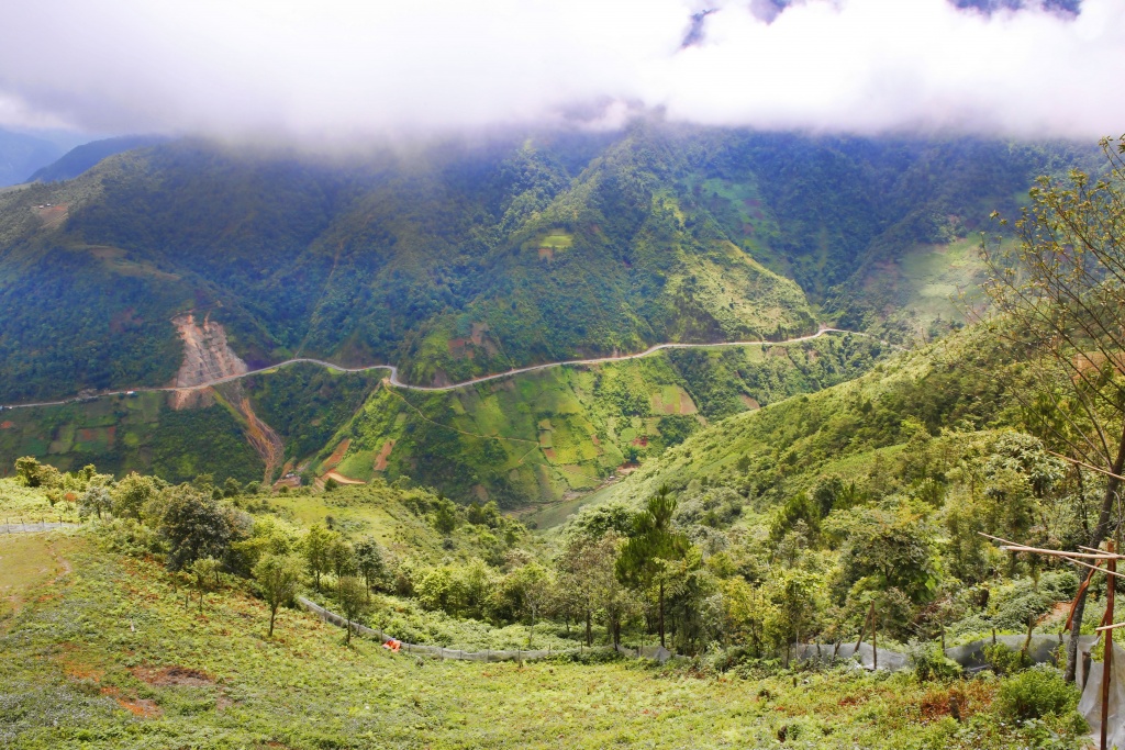 di cay tren ruong bac thang o mu cang chai