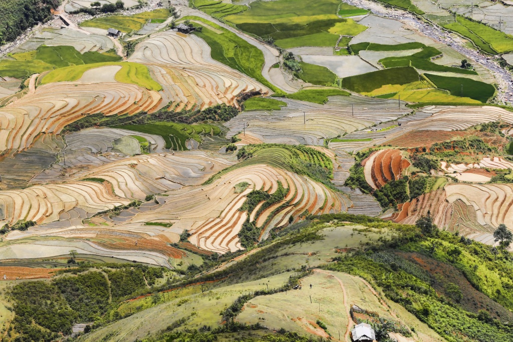 di cay tren ruong bac thang o mu cang chai