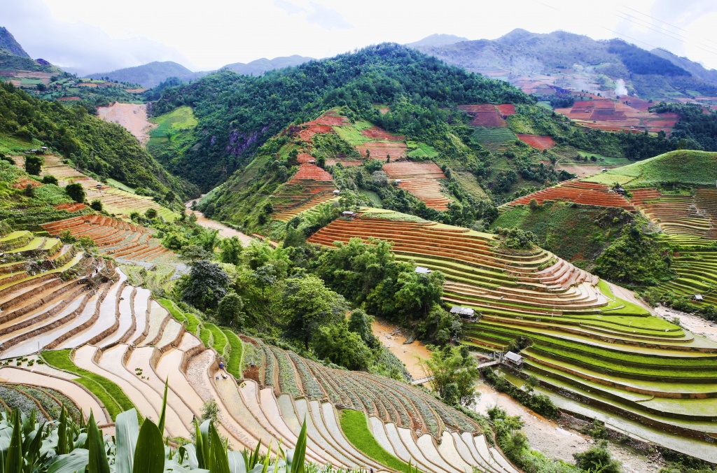 di cay tren ruong bac thang o mu cang chai