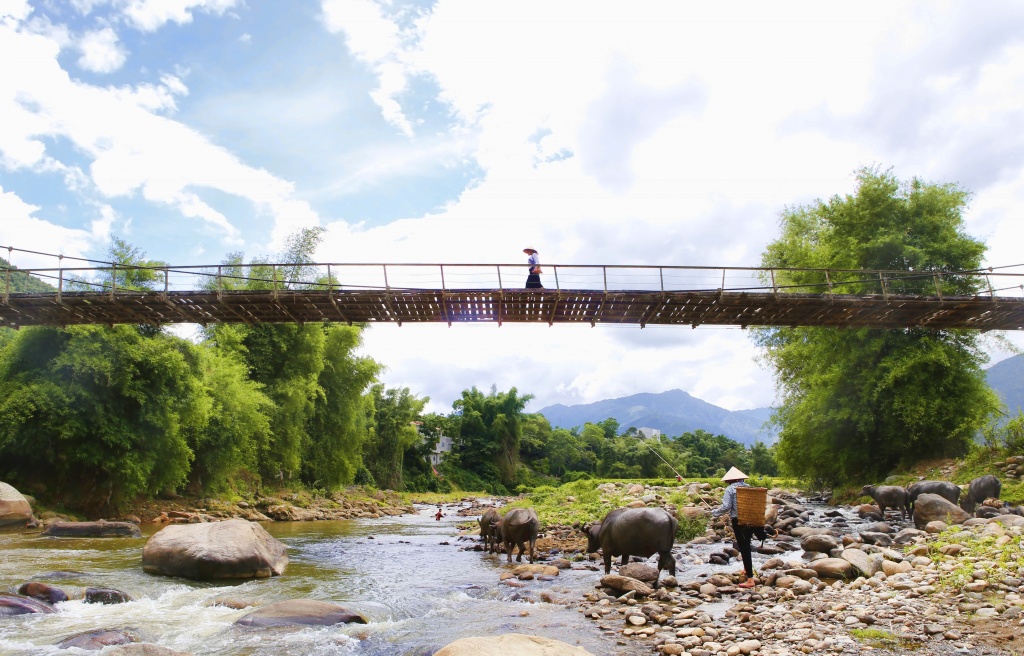 di cay tren ruong bac thang o mu cang chai