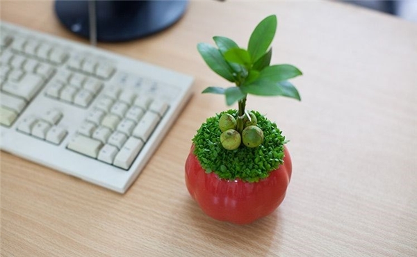 12 con giáp chỉ cần đặt những vật này trong nhà đảm bảo phú quý đầy nhà, tiền vào như nước 12 con giap chi can dat nhung vat nay trong nha dam bao phu quy day nha tien vao nhu nuoc