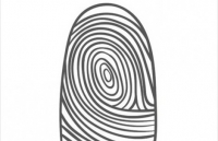 xem duong chi tay van menh du doan thoi gian phat tai